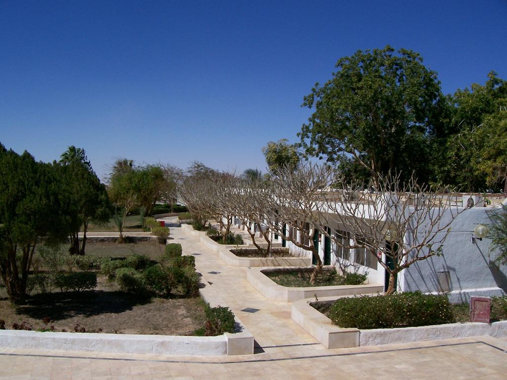 Nefertari Hotel Abu Simble Abu Simbel Ngoại thất bức ảnh