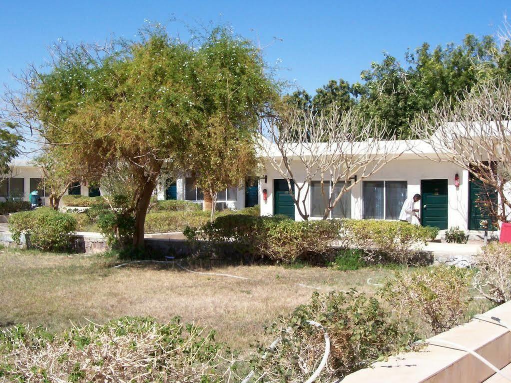 Nefertari Hotel Abu Simble Abu Simbel Ngoại thất bức ảnh