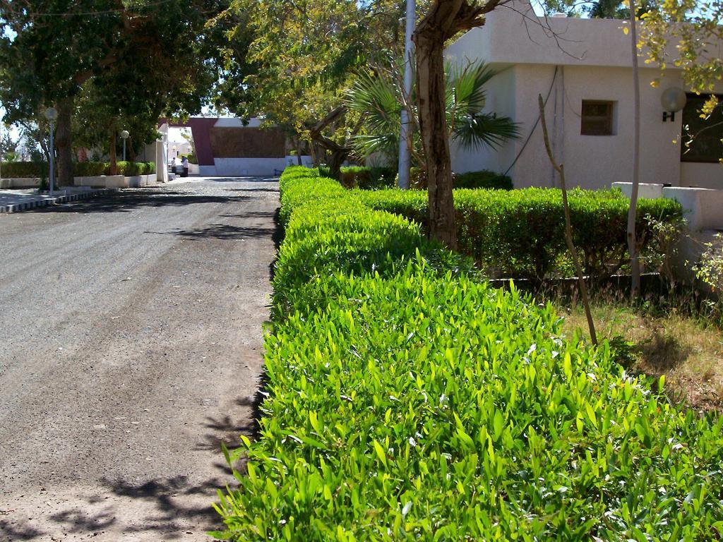 Nefertari Hotel Abu Simble Abu Simbel Ngoại thất bức ảnh