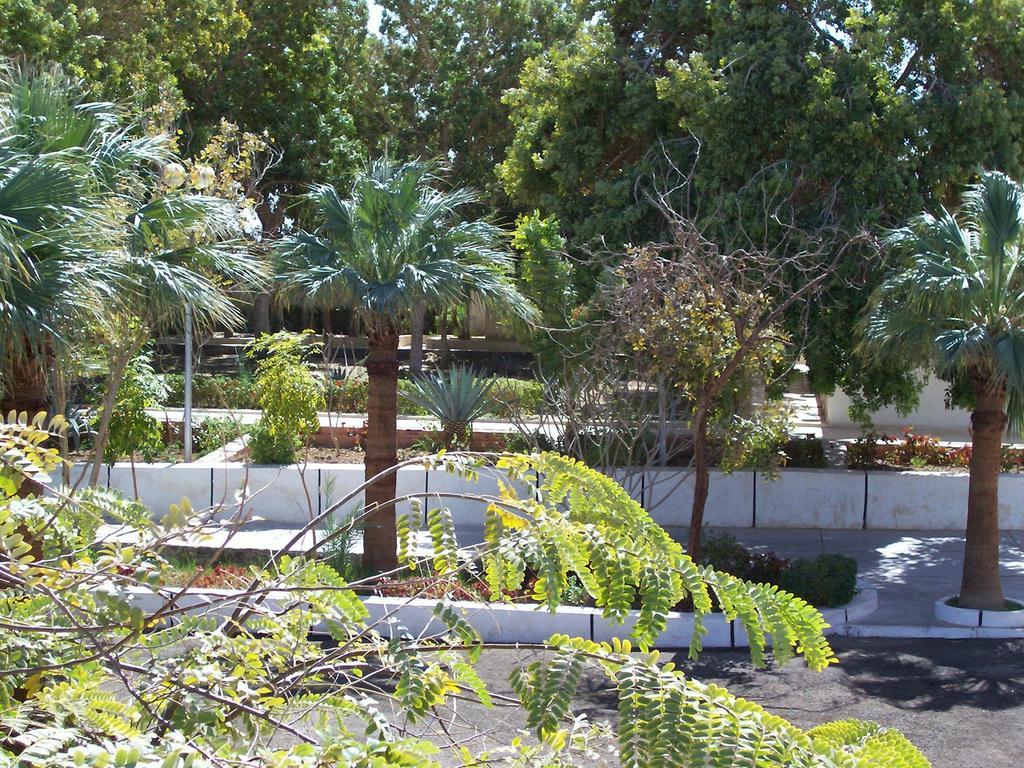 Nefertari Hotel Abu Simble Abu Simbel Ngoại thất bức ảnh